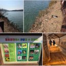 분당-318 | 주말 나들이 고민 끝! 🌈 분당 율동공원에서 즐기기 위한 피크닉 &amp; 스포츠 &amp; 산책 총정리 | 주차 꿀팁 포함