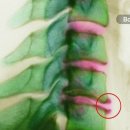 예가한의원 이미지