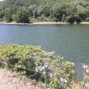 오동낚시터 이미지