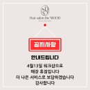 더무드헤어 네이버블로그