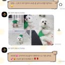코람 | w11. 전주 호남각 상견례 선물 추천 후기 | 결혼 PPT 로맨틱..성공적..