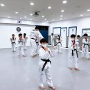 위너스태권도장 이미지