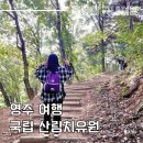 영주 국립산림치유원 예약 숙박 후기 숙소 식사