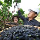 김철수농장 이미지