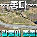 성주부동산중개 이미지