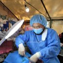 비글구조네트워크 동물메디컬센터 이미지