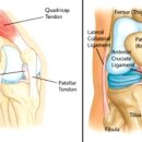 연화한의원 이미지