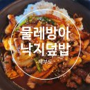 가는길 물레방아 식당에서 낙지덮밥, 통낙지한마리칼국수 먹고왔어요! 해물파전까지 완벽했던 가족 외식...