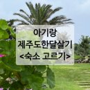 기억한담 | 아기랑 제주도 한달살기 : 사전준비 숙소편