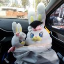 석당농장 | 엔젤이와 석당이, 봄을 맞아 나눔농장에서 토끼들을 만나다. 그리고 보는 시야를 넓히고 오다.