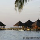 지상낙원 c 이미지