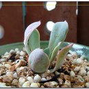 쪽빛하늘 이미지