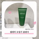 저자극 폼클렌징 모링가 효능 산뜻한 사용감 셀레바 모링가 클렌저
