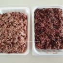 보리원농장 이미지