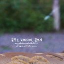 노일 화장실 이미지