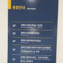 갈매중앙공원 | 구리 갈매중앙공원 벚꽃 구경, 구리 갈매도서관 방문 후기(무료 주차 가능✔️)