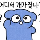 호가호가 이미지
