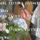 에꼴드플레르