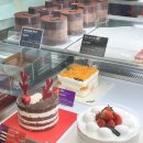 투썸플레이스서면중앙점 | 투썸플레이스 금귤생 • 홈파티, 생일케이크로 추천하는 상큼한 매력의 홀케이크