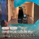 더차코인터내셔날 | 내셔널지오그래픽과 디즈니가 만나면? 서울 충무아트센터 OCEAN 사진전 후기