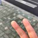 가야요양병원 | 간호조무사 요양병원 실습 후기 3 | 실습 6주 차 후기 | 간호조무사 속성반 | 간호조무사 국비교육