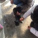 도은농장 이미지