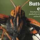 진화목장 이미지