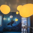 풀 스테이 마돈나 이미지