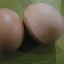 장승헬스사우나 이미지