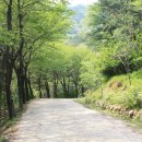 갈맷길(6-2구간) 이미지