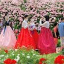 곡성-128 티스토리