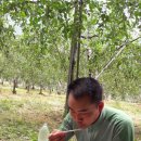 선녀농장 이미지