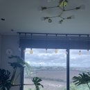 스테이 소소호강 이미지