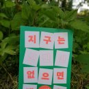 풀숲#1