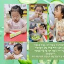 푸드오감 이미지