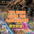 르솔트 | 거제 장평동 마카롱 맛집 르브뤼셀 솔직 후기 재방문하는 이유!!