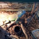 비손유치원 이미지