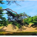 배동삼릉 이미지