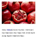 석류즙 (원액 100% ) 박스당 2만원 ^^ 이미지