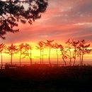 솔바다캠핑장 이미지