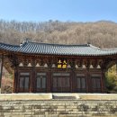 왈츠와 닥터만 커피박물관 이미지