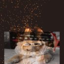 왈왈키친 이미지