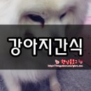 반려동물 수제간식 이미지