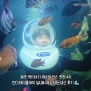 제주 액티비티 데이트코스 추천 | 언더워터플레이 실내씨워킹 내돈내산 후기