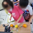 운수초등학교 | [비피랩/경북코딩] 고령 운수초등학교/ 소리나는 과일 피아노