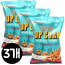 팝콘이네 이미지