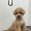 가드기멍 이미지