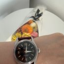 666 | 빈티지 불바 카라벨레 666 다이버 추천 후기