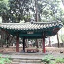 사적인 제주 이미지