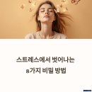 젠탱글로 관리하는 일상 스트레스 | 스트레스를 효과적으로 관리하는 8가지 실천법: 일상에서 실천하는 건강한 방법
